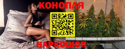 крисы Славянск-на-Кубани