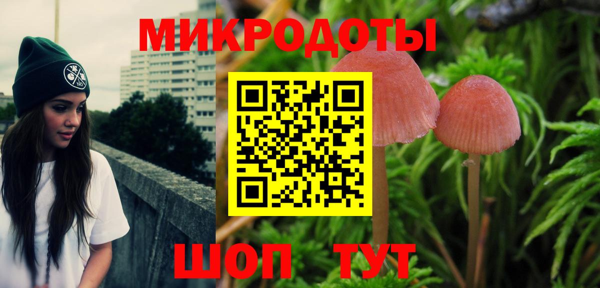 Псилоцибиновые грибы прущие грибы Москва